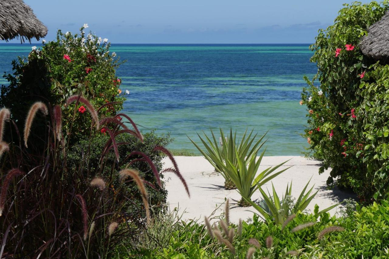 Zanbluu Beach Hotel Kiwengwa  Exterior foto